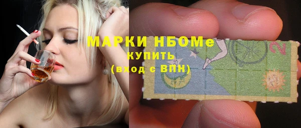 индика Абинск