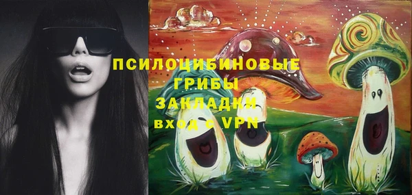 spice Абаза